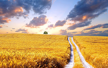 Ukraine nature, , Beautiful landscapes, Natural wonders HD wallpaper