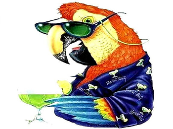 Parrot Party, sunglasses, satin shirt, macaw, martini, parrot HD wallpaper
