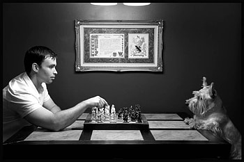 Man vs. Beast, dog, table, , man, play, doggy, game, chess, beast HD wallpaper