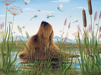 Dragonfiles dance, water, libelula, vara, animal, art, urs, illostration, robert bissell, summer, painting, bear, pictura, dragonfly HD wallpaper