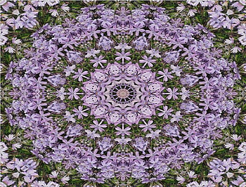 Kaleidoscope of Purple Flower, purple, circle, kaleidoscope, flower HD wallpaper