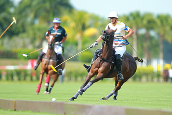 Black Watch vs Colorado, Horse Polo HD wallpaper