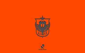 Albirex Niigata, orange background, Japanese football team, Albirex Niigata emblem, J2 League, Japan, football, Albirex Niigata logo HD wallpaper