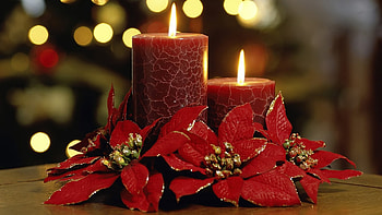 Christmas Candles, decorations, holiday, candles, christmas HD wallpaper