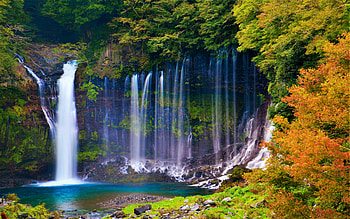 Shiraito Falls, Japan, river, leaves, fall, colors, autumn, trees, forest HD wallpaper