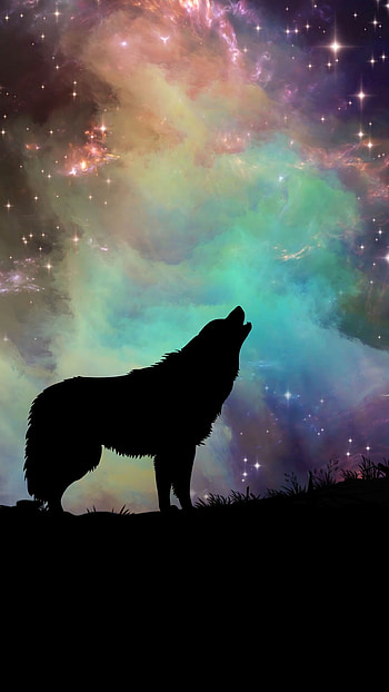 Nebula with Wolf Silhouette, nebula, sky, silhouette, night, Animal, wolf HD phone wallpaper
