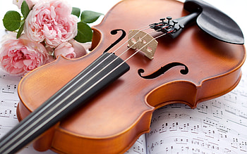 With Love, musical notes, graphy, roses, pink roses, pink rose, romnace, violin, still life, rose, pink, music, flowers, romantic, for you HD wallpaper