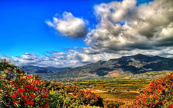 Nature, Flowers, Grass, Sky, Mountains, Clouds, Vegetation, Paints HD wallpaper