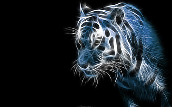 Blue Fire Tiger ... HD wallpaper