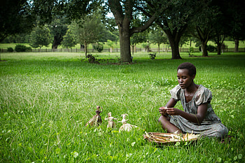 12 Years A Slave, Heart-wrenching story, Human spirit triumphs, Unforgettable performances HD wallpaper