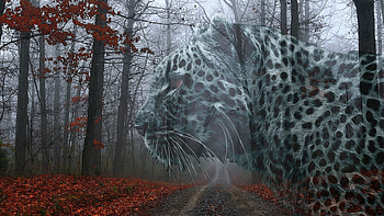 Snow'Leopard'Red'Falling'Leaves, roadways, leaves, leopard, fall, autumn, snow leopard, forest, red leaves HD wallpaper