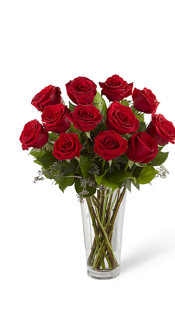 Red Rose, Red Rose Bookie HD phone wallpaper