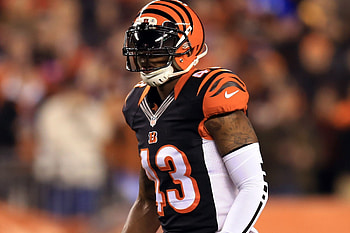 cincinnati bengals : , wall, pic HD wallpaper