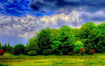SUMMER CLOUDS, weather, clouds, summer, before the storm HD wallpaper