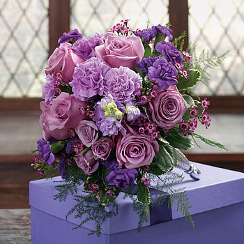 Flowers, purple, soft, nature HD wallpaper