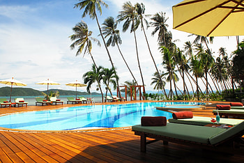 Nature, Palms, Tropics, Handsomely, It's Beautiful, Resort HD wallpaper