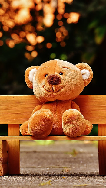 Beautiful Teddy Bear, Sitting On Bench HD phone wallpaper