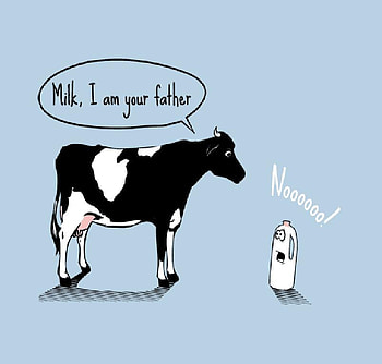 The Truth, milk, funny, cows, movie HD wallpaper