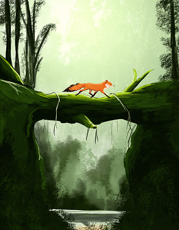 Art, Fox, Bridge, Nice, Sweetheart HD phone wallpaper