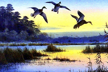 Dawn Greeters, love four seasons, lakes, birds, draw and paint, sky, nature, flying, paintings HD wallpaper