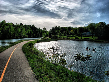 Tandem, road, green HD wallpaper