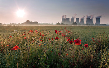 Nature, Poppies, Field, Pipes, Tubing HD wallpaper