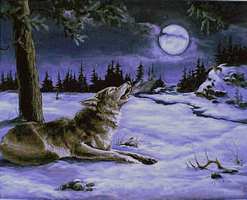 Baying Wolf, woods, lone, moon, howlingwinter, wolf HD wallpaper