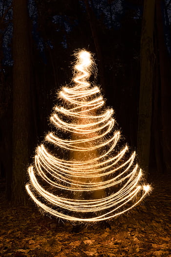 Spiral light painting of a Christmas tree shape in a dark forest setting. HD phone wallpaper
