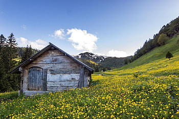 Spring in Montenegro, blossoms, mediterranean, landscape, meadow, mountains, cabin HD wallpaper
