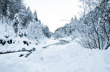 Landscape, Winter, Nature, Rivers, Trees, Snow HD wallpaper