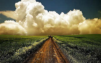 Champagne clouds, clouds, grass, field, dirt road HD wallpaper
