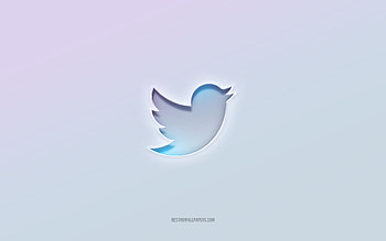 Twitter logo, cut out 3d text, white background, Twitter 3d logo, Twitter emblem, Twitter, embossed logo, Twitter 3d emblem HD wallpaper