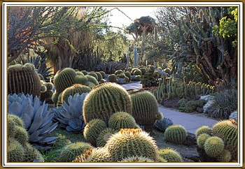 CACTUS GARDEN, NATURE, GARDEN, , CACTUS HD wallpaper