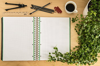Organized workspace with open notebook, plants, and coffee cup. HD wallpaper