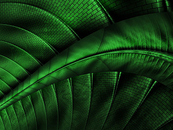 Green, beautiful, abstract, 3d HD wallpaper