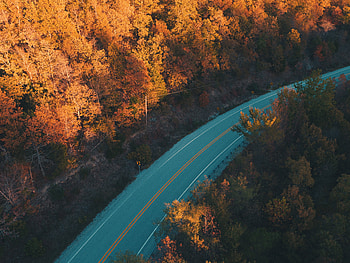 Road Fall Trees Nature , road, trees, nature, fall HD wallpaper