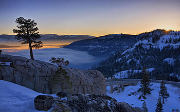 Pine Tree on a cliff, winter, pine, snow, trees, nature, cliff, mountains, for HD wallpaper