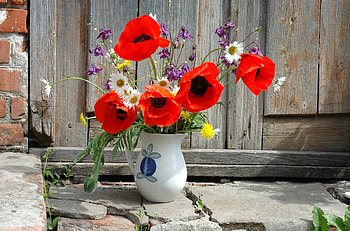 Flowers, Poppies, Dandelions, Camomile, Bouquet, Jug, Field HD wallpaper