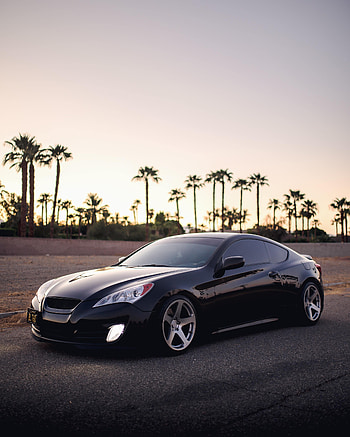 Palms, Cars, Car, Machine, Side View HD phone wallpaper