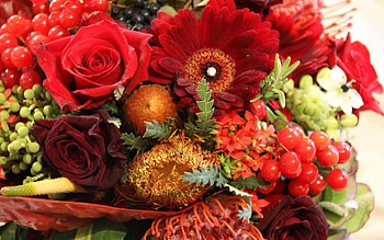 Your Flower Garden, flower, red, garden, beautiful, flowers, arrangement HD wallpaper