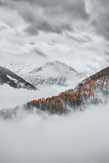 Landscape, Nature, Mountains, Clouds, Forest, Snow Covered, Snowbound HD phone wallpaper