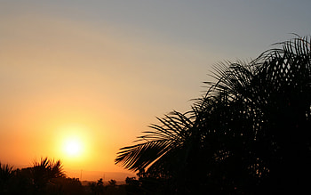 The Soaring Sunset, soaring, sunset HD wallpaper