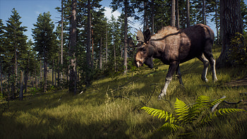 Way of the Hunter, video game, Way of the Hunter HD wallpaper
