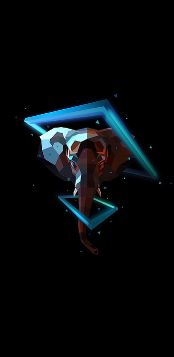 Elefant, Justin Maller HD phone wallpaper