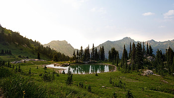 Naches Peak Loop, Pacific Crest Trail, Washington, landscape, trees, sky, mountains, usa HD wallpaper