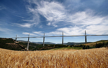 Nature, Field, Height, Bridge, Ears, Spikes, Progress HD wallpaper