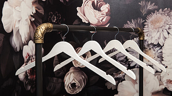 Dries Van Noten, Feather Choker, Fashion Accessory, Luxury Design HD wallpaper