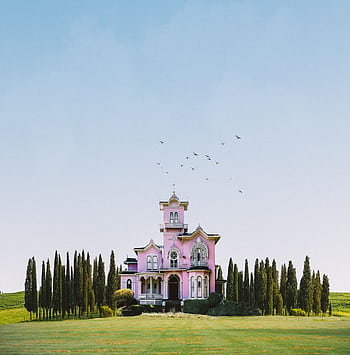 Victorian-style pink house surrounded by trees under clear blue sky. HD phone wallpaper