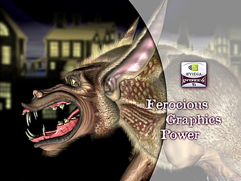 Nvida-feral, nvidia, video card, sli, vga HD wallpaper