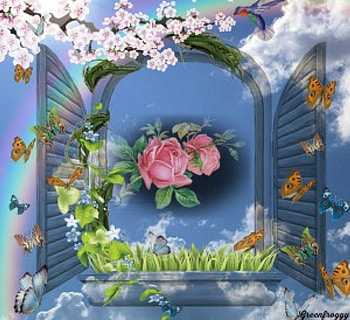 ROSE IN WINDOW, WINDOW, ROSES, CREATION, ABSTRACT HD wallpaper